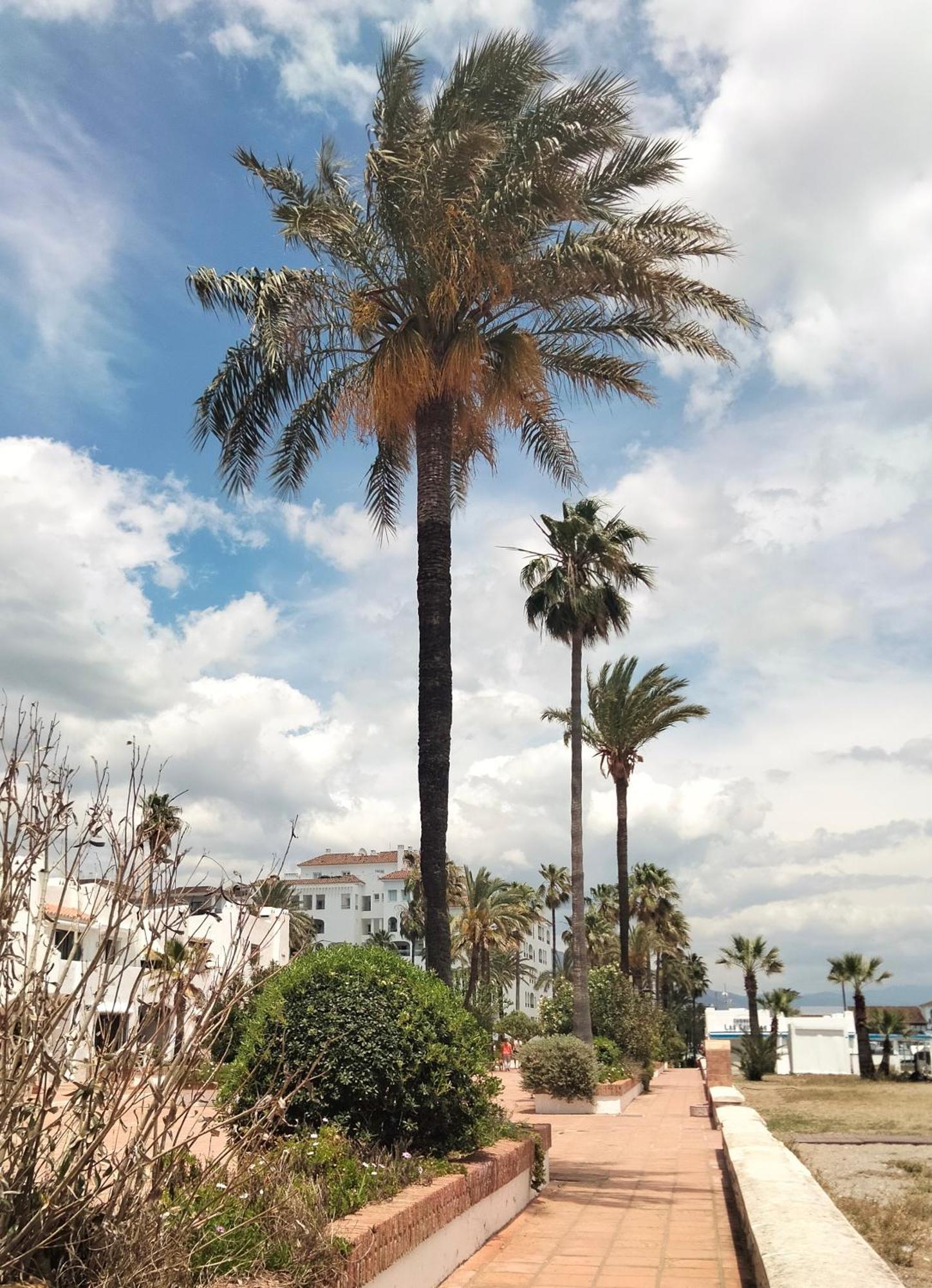 Apartamento Primera Linea De Playa Manilva Exterior photo